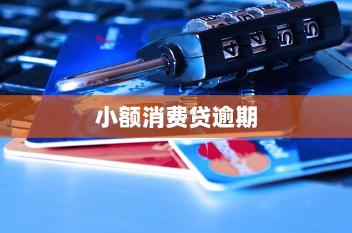 小额消费贷逾期