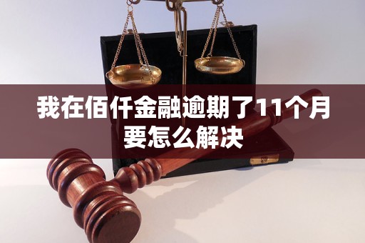 我在佰仟金融逾期了11個月要怎么解決