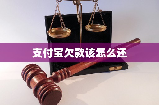 支付宝欠款该怎么还