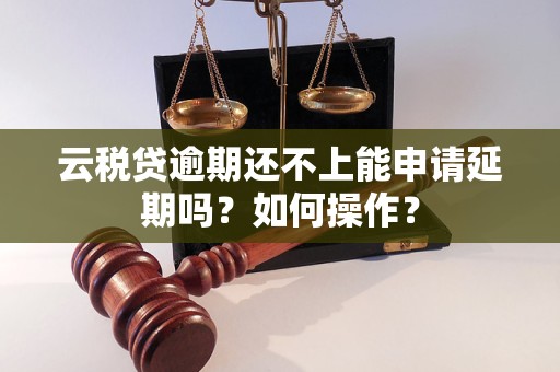 云稅貸逾期還不上能申請(qǐng)延期嗎？如何操作？