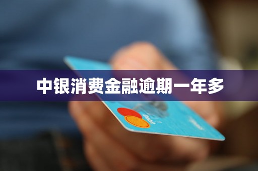 中银消费金融逾期一年多