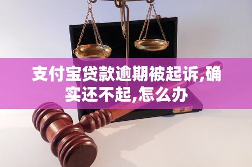 支付寶貸款逾期被起訴,確實還不起,怎么辦