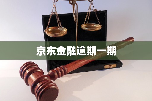 京东金融逾期一期