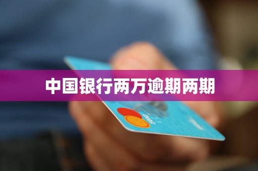 中国银行两万逾期两期