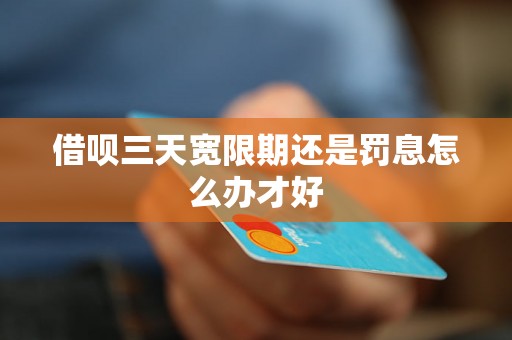 借呗三天宽限期还是罚息怎么办才好