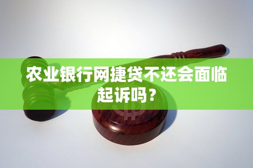 农业银行网捷贷不还会面临起诉吗？