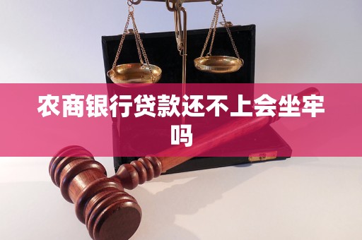 農(nóng)商銀行貸款還不上會坐牢嗎