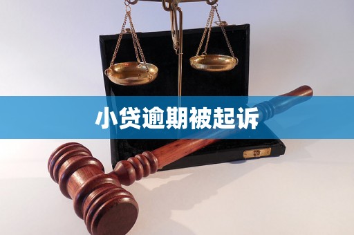 小贷逾期被起诉