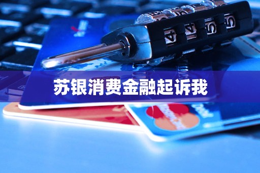 蘇銀消費金融起訴我