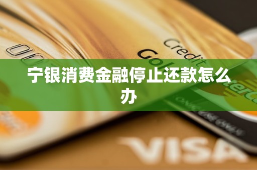 寧銀消費金融停止還款怎么辦