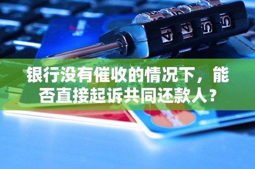 银行没有催收的情况下,能否直接起诉共同还款人? 银行没有催收的情况下,能否直接起诉共同还款人?