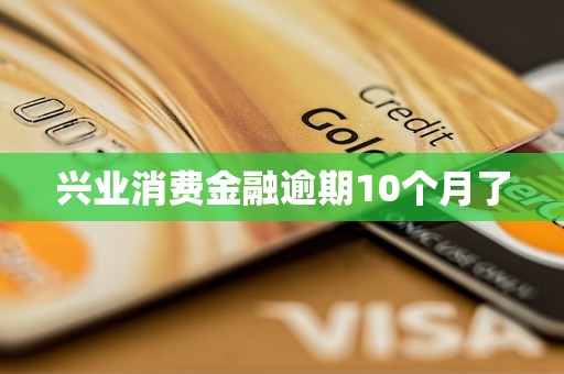 興業(yè)消費(fèi)金融逾期10個(gè)月了