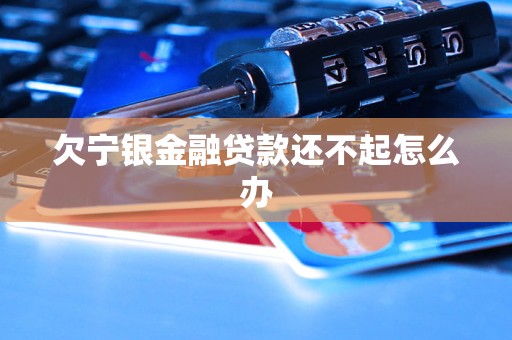 欠寧銀金融貸款還不起怎么辦