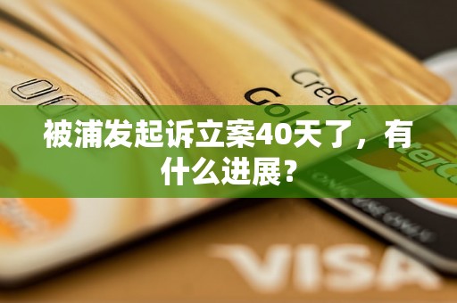 被浦发起诉立案40天了，有什么进展？