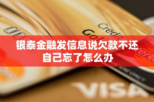 銀泰金融發(fā)信息說欠款不還自己忘了怎么辦