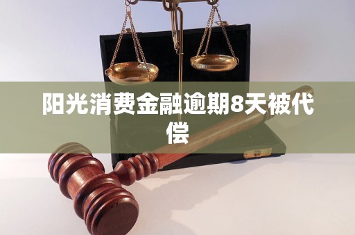 阳光消费金融逾期8天被代偿
