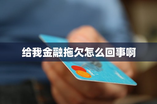 給我金融拖欠怎么回事啊