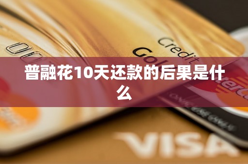 普融花10天还款的后果是什么 普融花10天还款的后果是什么