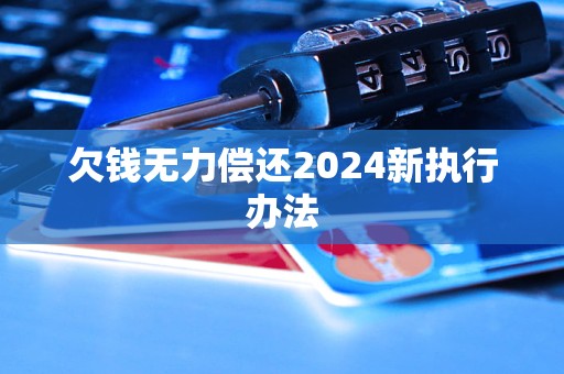 欠钱无力偿还2024新执行办法