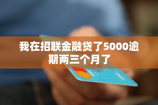 我在招聯(lián)金融貸了5000逾期兩三個(gè)月了