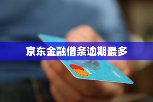 京东金融借条逾期最多