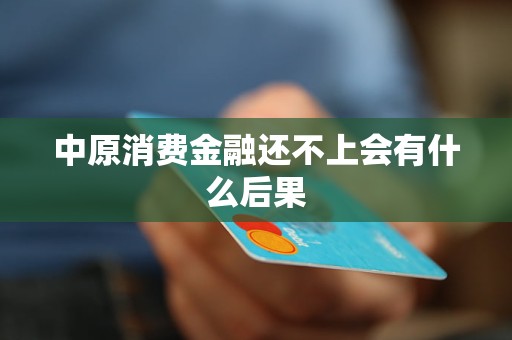 中原消費金融還不上會有什么后果