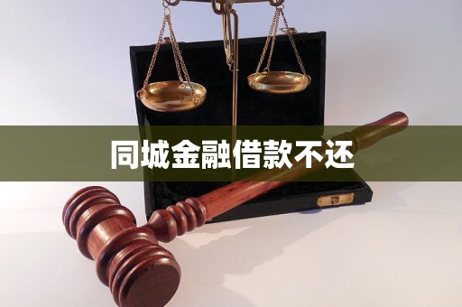 同城金融借款不還