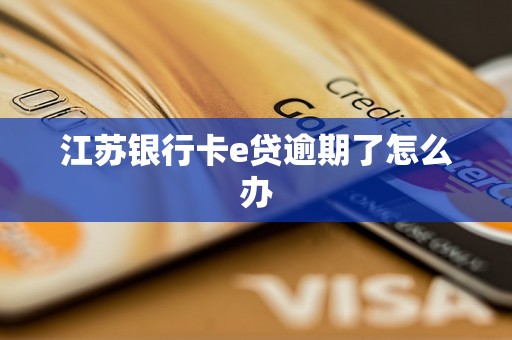 江苏银行卡e贷逾期了怎么办