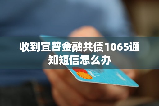 收到宜普金融共債1065通知短信怎么辦