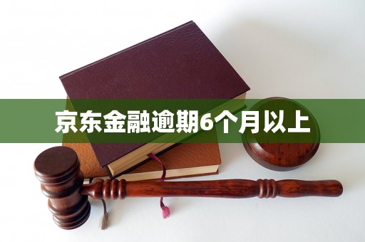 京东金融逾期6个月以上