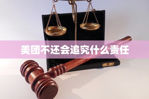 美团不还会追究什么责任