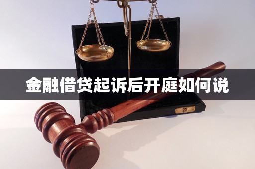 金融借貸起訴后開庭如何說