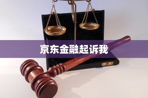 京東金融起訴我