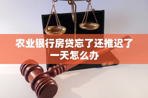 農(nóng)業(yè)銀行房貸忘了還推遲了一天怎么辦