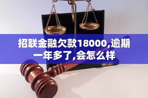 招聯(lián)金融欠款18000,逾期一年多了,會怎么樣