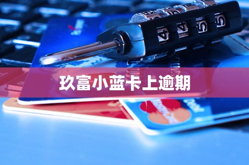 玖富小蓝卡上逾期