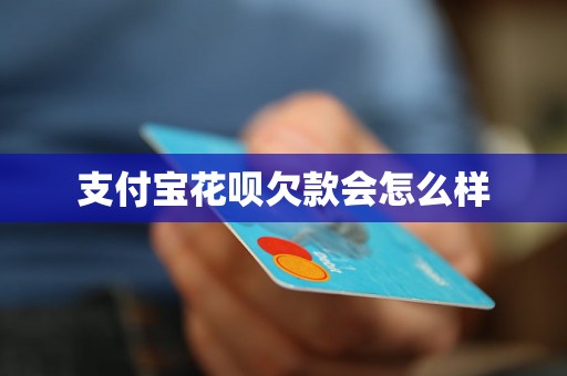 支付宝花呗欠款会怎么样
