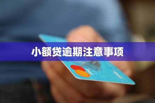 小额贷逾期注意事项