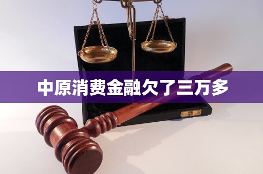 中原消費(fèi)金融欠了三萬多