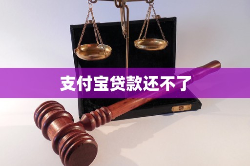 支付寶貸款還不了