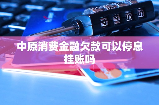 中原消費金融欠款可以停息掛賬嗎