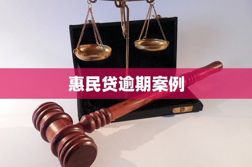 惠民贷逾期案例