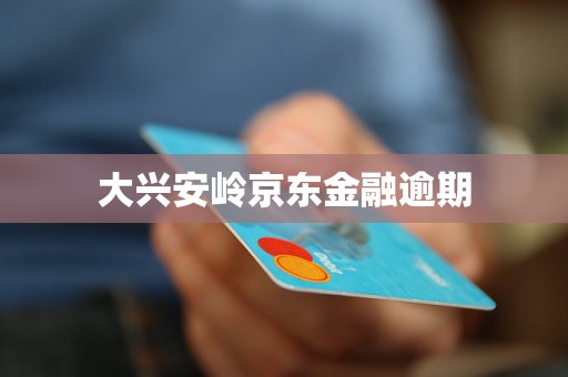 大兴安岭京东金融逾期