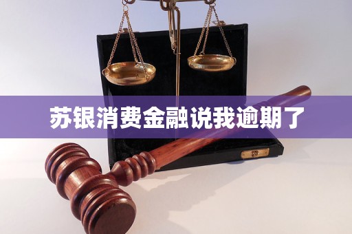 蘇銀消費金融說我逾期了