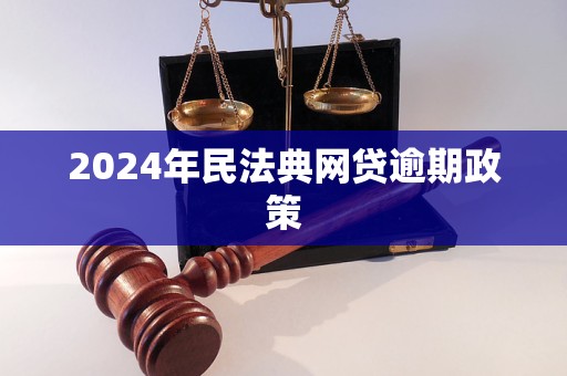 2024年民法典網(wǎng)貸逾期政策