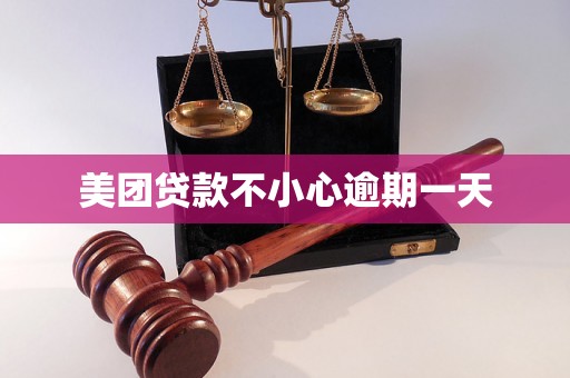 美团贷款不小心逾期一天
