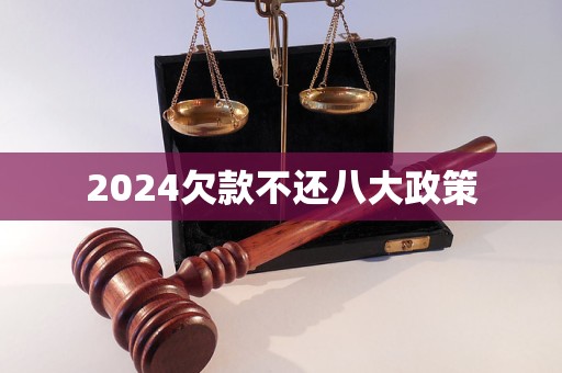 2024欠款不還八大政策