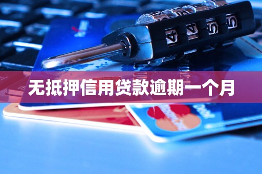 无抵押信用贷款逾期一个月
