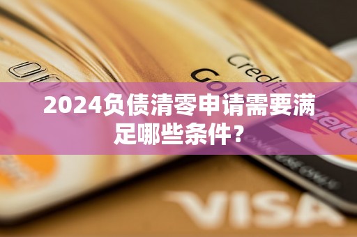 2024负债清零申请需要满足哪些条件？