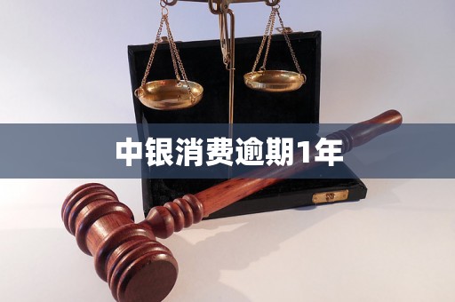 中银消费逾期1年